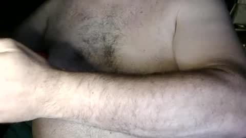 Nip Fun Bear online show from September 25, 1:42 am
