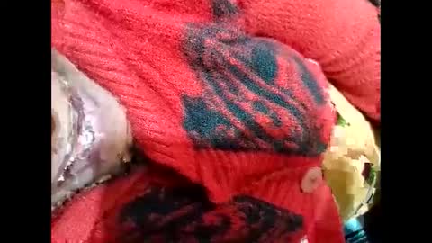 Snapshot of nisha800411 chatting on January 3, 3:44 pm Nisha online show from January 3, 3:44 pm