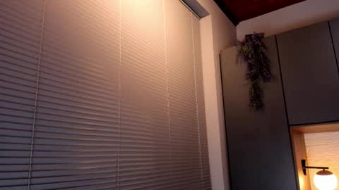 Snapshot of noah_dupont_ chatting on November 8, 11:32 am noah_dupont_ online show from November 8, 11:32 am