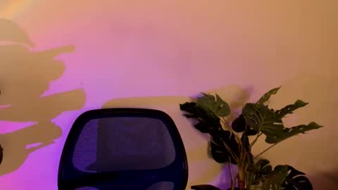 Snapshot of noah_dupont_ chatting on November 10, 11:42 am noah_dupont_ online show from November 10, 11:42 am