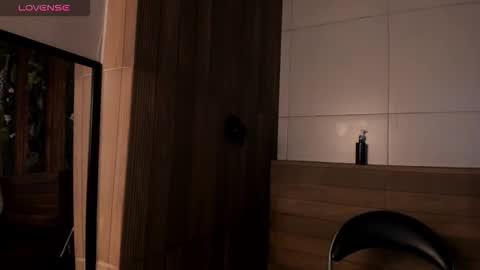 Snapshot of noah_dupont_ chatting on November 18, 11:36 am noah_dupont_ online show from November 18, 11:36 am