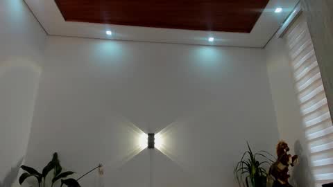 LIAM- noah online show from January 8, 1:13 pm