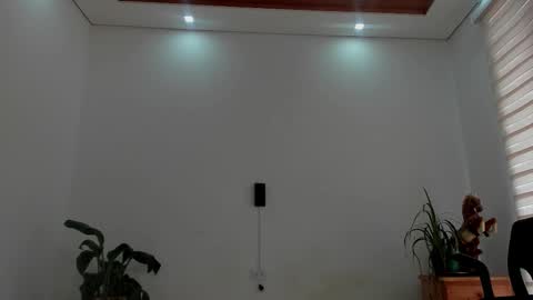 LIAM- noah online show from March 27, 1:33 pm