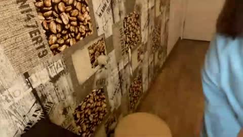 Snapshot of nohemibaerman chatting on March 22, 1:03 pm Abri online show from March 22, 1:03 pm