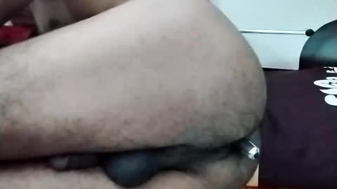 sim  nib online show from November 13, 11:42 am