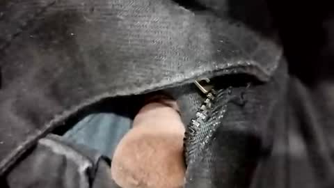 sim  nib online show from November 20, 6:07 pm