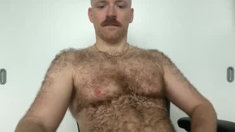 No Plan online show from January 8, 2:41 pm