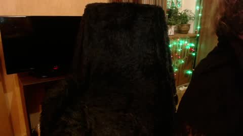 miss Tress online show from January 1, 2:30 am