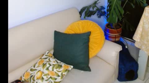 novaperotti online show from October 8, 11:35 pm