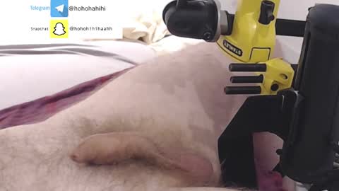 nuche99 online show from November 1, 6:21 pm