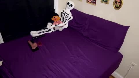 Nymphaea online show from January 17, 12:26 am