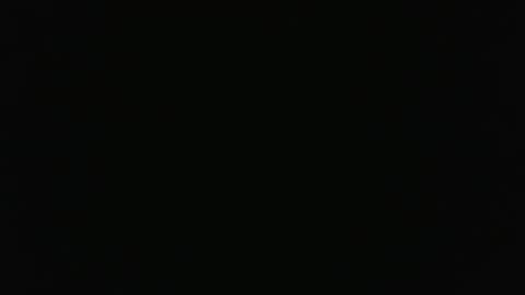 nyr95 online show from November 8, 7:56 pm