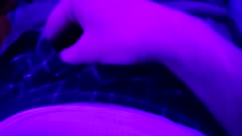 octorok1 online show from January 1, 2:30 am