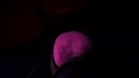 octorok1 online show from January 19, 6:20 am