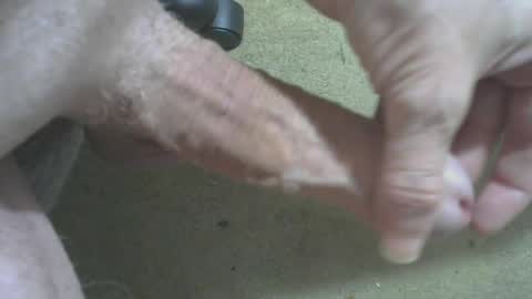 odentonman4fun online show from June 20, 4:04 am