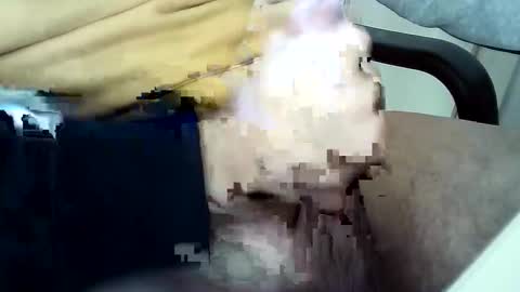 officersex y online show from November 23, 1:33 pm