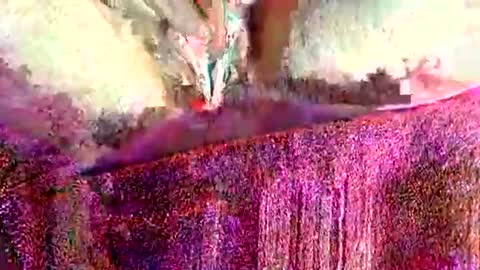 ohlalamama13 online show from March 17, 9:51 pm