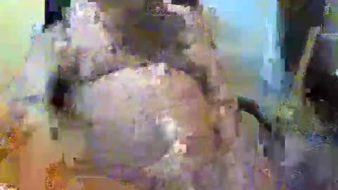 Snapshot of oily27 chatting on November 2, 5:26 pm William online show from November 2, 5:26 pm