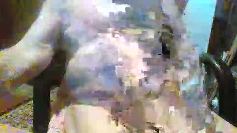 Snapshot of oily27 chatting on December 14, 9:19 pm William online show from December 14, 9:19 pm