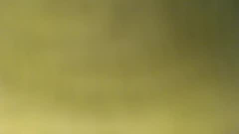 oliver_laid_2023 online show from November 30, 8:51 am