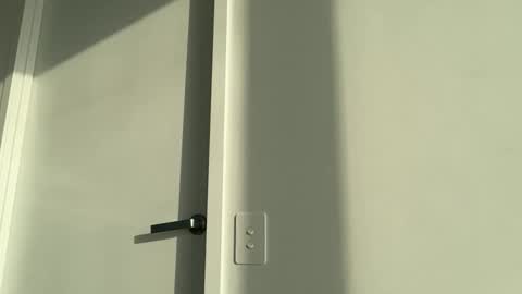 Olivia Brookes online show from November 17, 7:52 pm