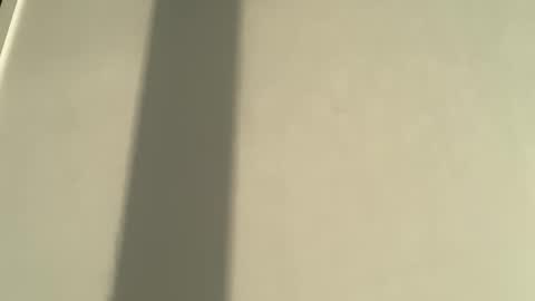 Olivia Brookes online show from January 8, 8:00 pm