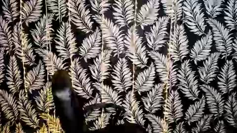 Snapshot of oliviaoskar_ chatting on July 24, 2:04 pm Kelly online show from July 24, 2:04 pm