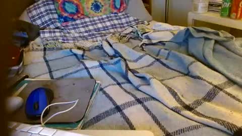 Snapshot of onemattu chatting on November 11, 7:41 am Mattu online show from November 11, 7:41 am