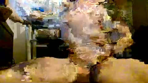 onlyfunnowchat online show from January 6, 5:38 pm