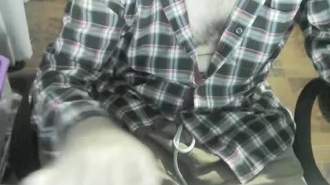 Snapshot of ore_cam chatting on January 20, 12:46 am Ore online show from January 20, 12:46 am