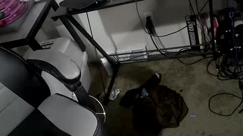 Snapshot of orgasmgiver9090 chatting on March 20, 7:52 pm orgasmgiver9090 online show from March 20, 7:52 pm