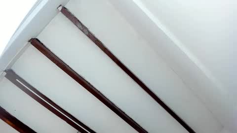 Miss Guzman  online show from January 29, 5:45 pm