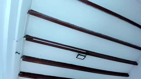 Miss Guzman  online show from February 6, 12:16 pm