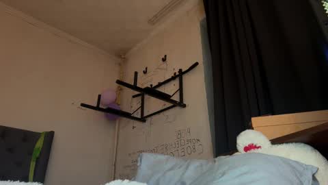 Snapshot of origamicat chatting on January 15, 9:07 pm origamicat online show from January 15, 9:07 pm