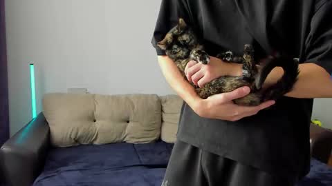 Snapshot of ostin_meoww chatting on March 6, 8:44 am Ostin online show from March 6, 8:44 am