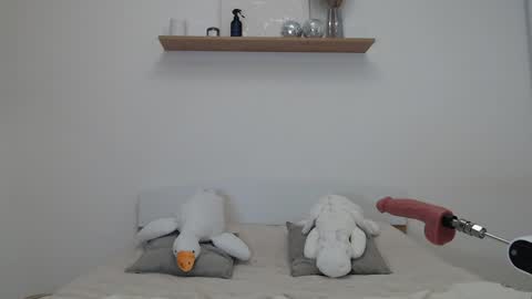 Snapshot of oxsashabloomxo chatting on January 16, 2:19 am Sasha online show from January 16, 2:19 am