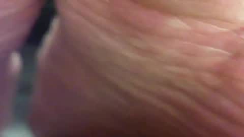 Pablo Meness online show from February 2, 12:40 am