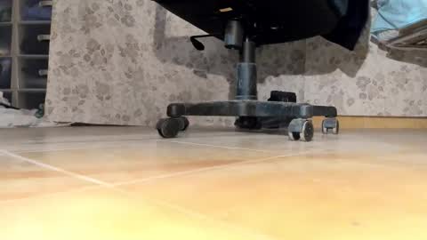 Pablo Meness online show from December 17, 6:36 pm