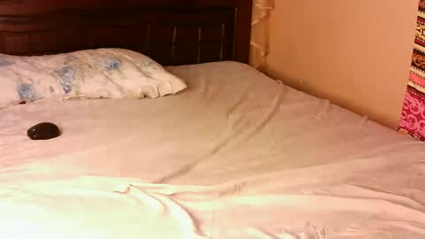 Pacie online show from November 22, 12:15 pm