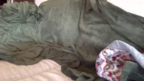 paintdude424 online show from September 26, 1:48 pm