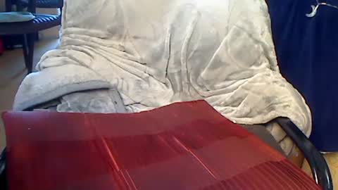 pajacamxxxs online show from March 8, 11:27 am