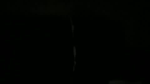 palley1120100250 online show from December 17, 9:26 am