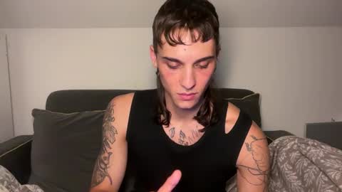 Snapshot of palm1stry chatting on November 1, 12:23 am Ayden online show from November 1, 12:23 am