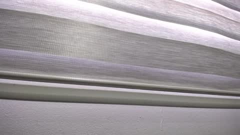 Palmer online show from January 13, 12:24 pm