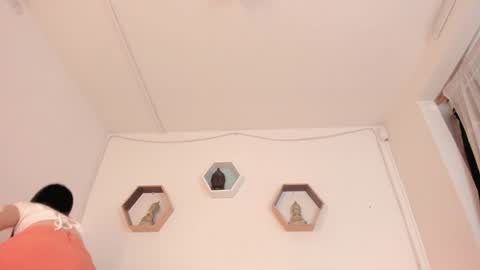 Snapshot of paloma_victory chatting on January 21, 8:32 pm Paloma online show from January 21, 8:32 pm