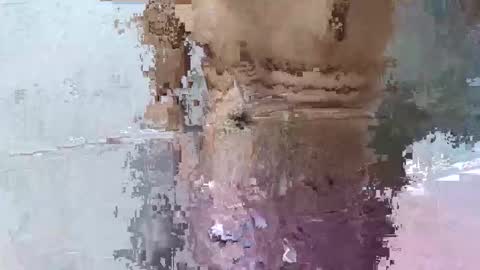 pankubig online show from September 29, 9:25 am