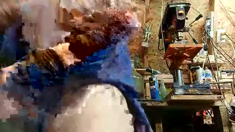 papajb70 online show from September 10, 2:22 am