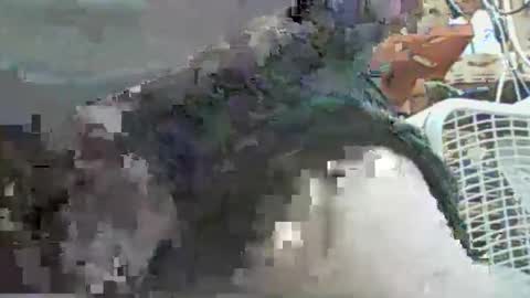 papajb70 online show from September 29, 2:27 am