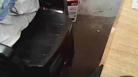 Snapshot of pareja201722 chatting on December 14, 7:46 pm pareja201722 online show from December 14, 7:46 pm