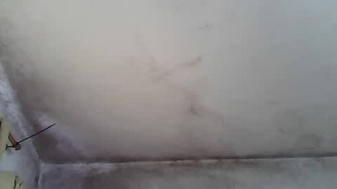 Snapshot of pareja201722 chatting on December 31, 4:25 pm pareja201722 online show from December 31, 4:25 pm